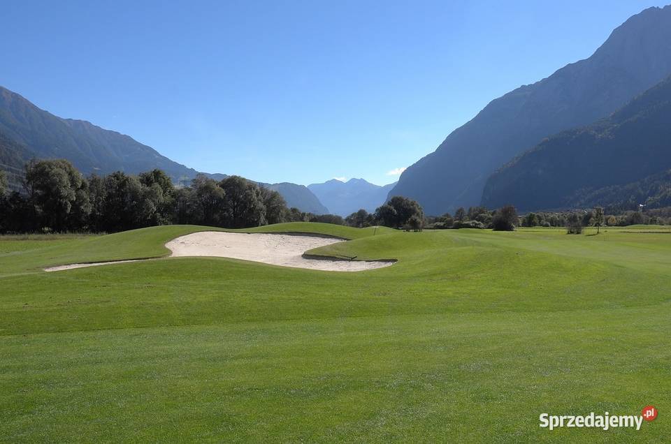 Trawnik z rolki z transportem cała Polska Warszawa