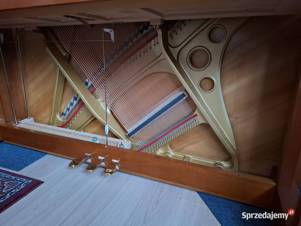 Pianino Eutepre CBECHSTEIN model EU112 stannowe Instrumenty klawiszowe i MIDI małopolskie Brzesko
