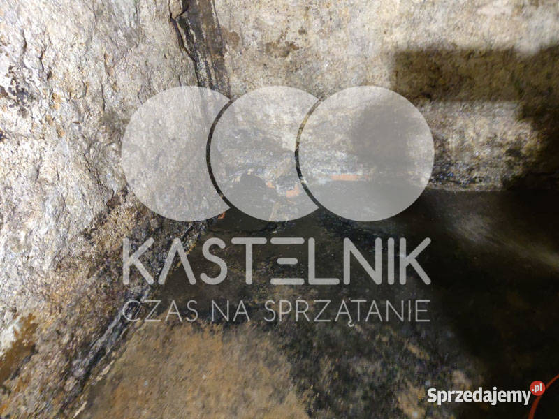 Sprzątanie zalaniach usuwanie szkód Nowy Targ Osuszanie i odgrzybianie