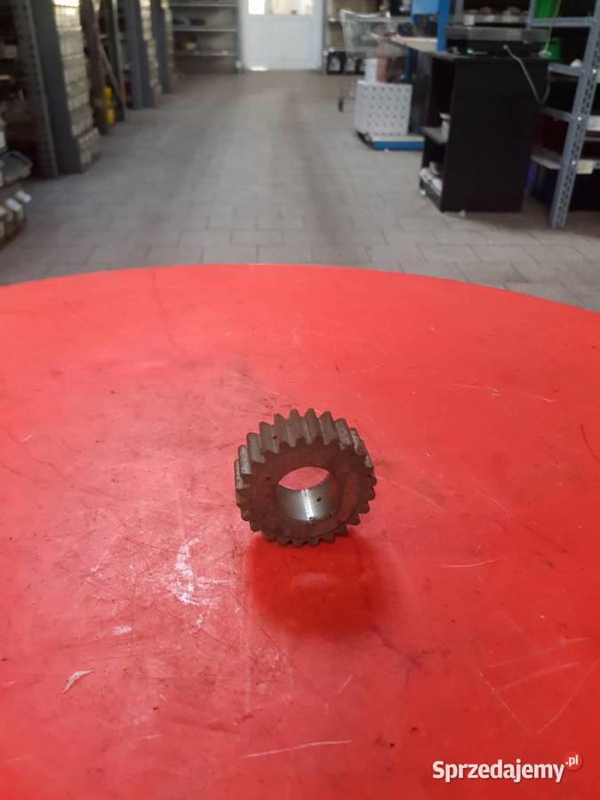 Koło zębate Satelit