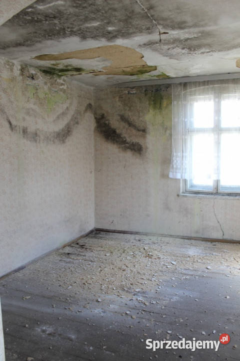 Bezczynszowe mieszkania w historycznej 1400m2 opolskie Twardawa sprzedam