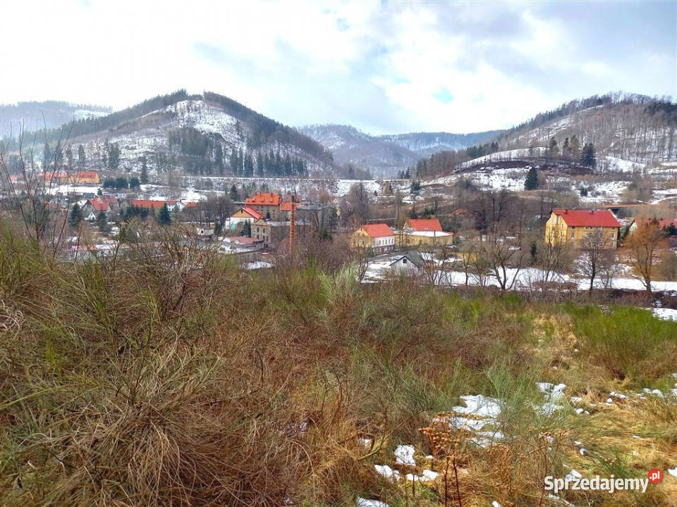 sprzedaży działki JedlinaZdrój asfalt Jedlina-Zdrój sprzedam
