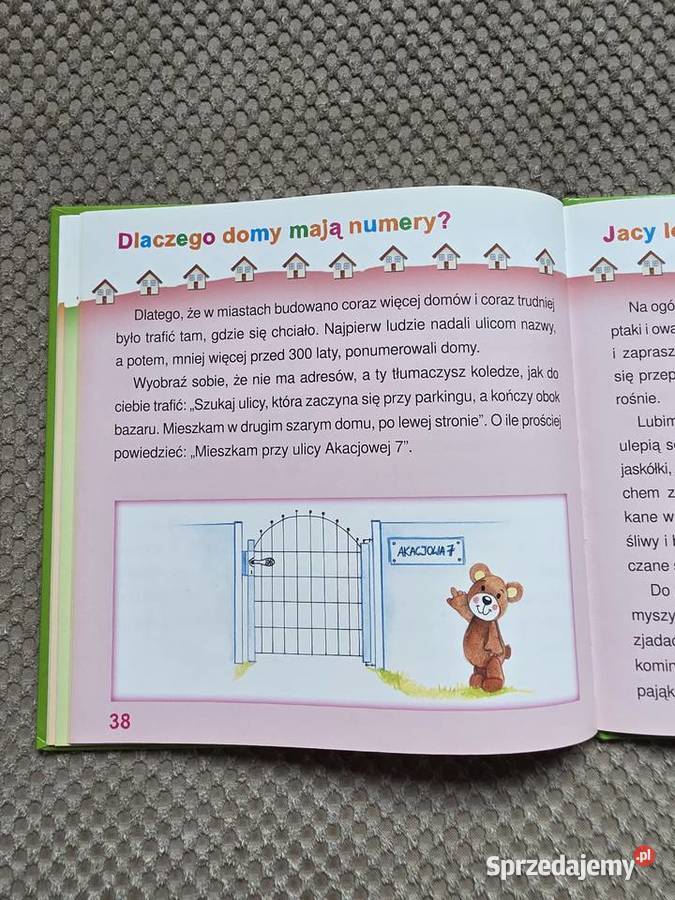 seria Zapytaj Misia o DOMY Kraków