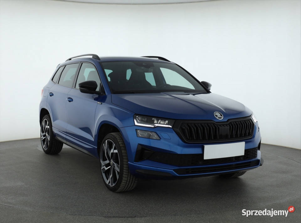 Skoda Karoq 15 TSI przyciemniane szyby Piaseczno