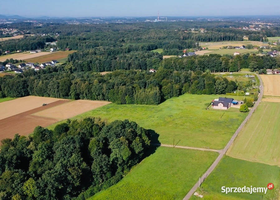 Widokowa działka budowlana w Pisarzowicach Sprzedaż Pisarzowice