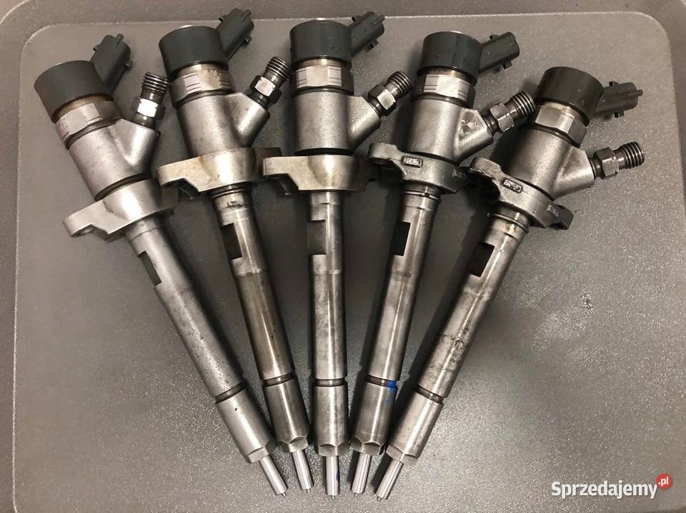 Wtryskiwacz Regenerowany Wtrysk 0445110239 16 osobowe Słubice