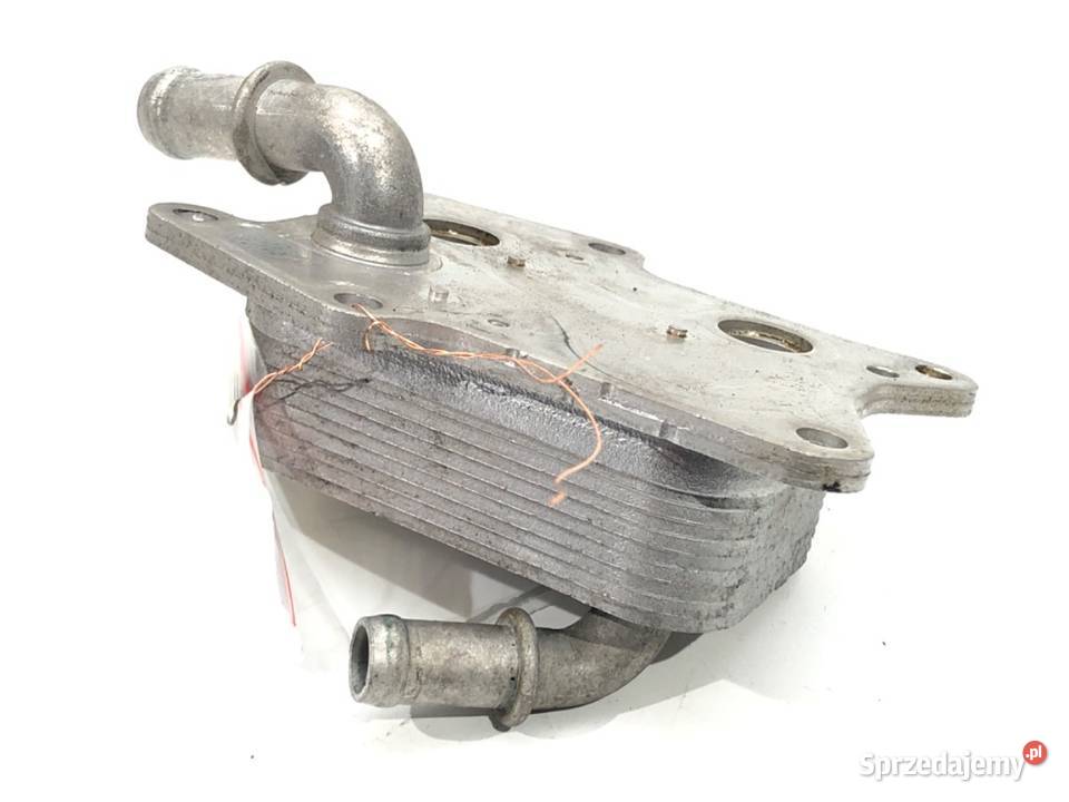 CHŁODNICZKA OLEJU INFINITI Q50 20 211 podkarpackie