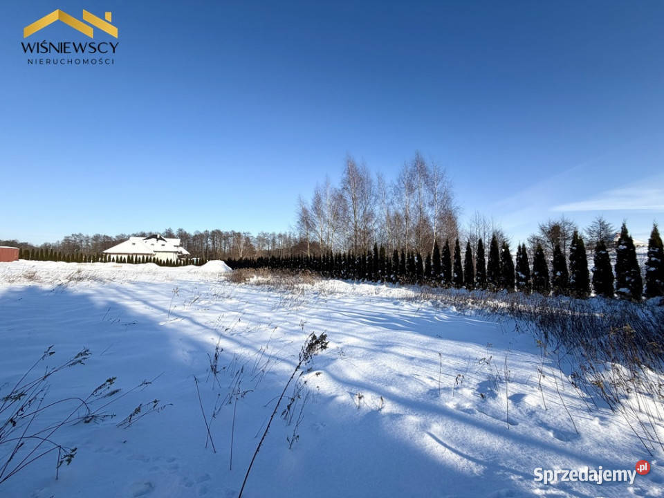 Działki 2319 m Zajezierze gotowe pod budowę
