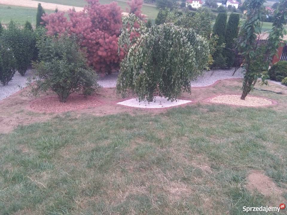 firma ogrodnicza podkarpackie Rzeszów ogród