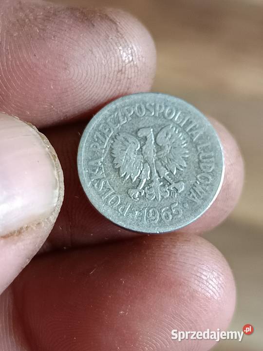 Sprzedam 10 groszy 1965 Chełm sprzedam
