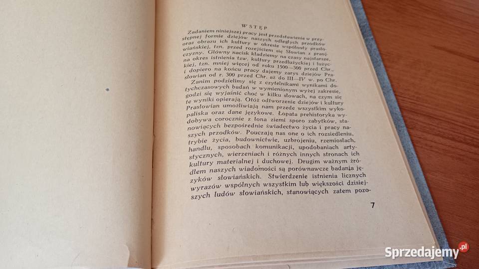 Prasłowiańszczyzna zarys dziejów i kultury Gdańsk