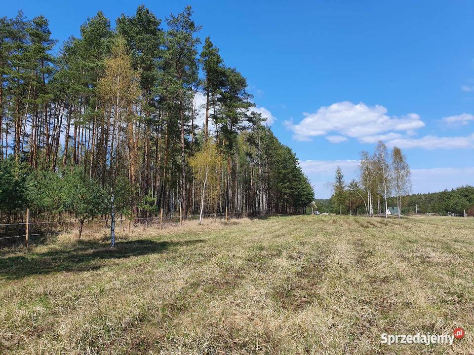Działka rekreacyjna z prawem zabudowy letniskowa Leśna