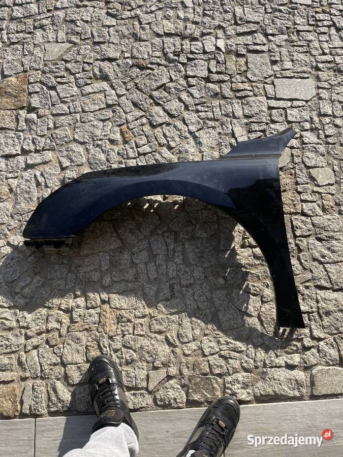 PEUGEOT 508 BLOTNIK LEWY 2011 Lubin