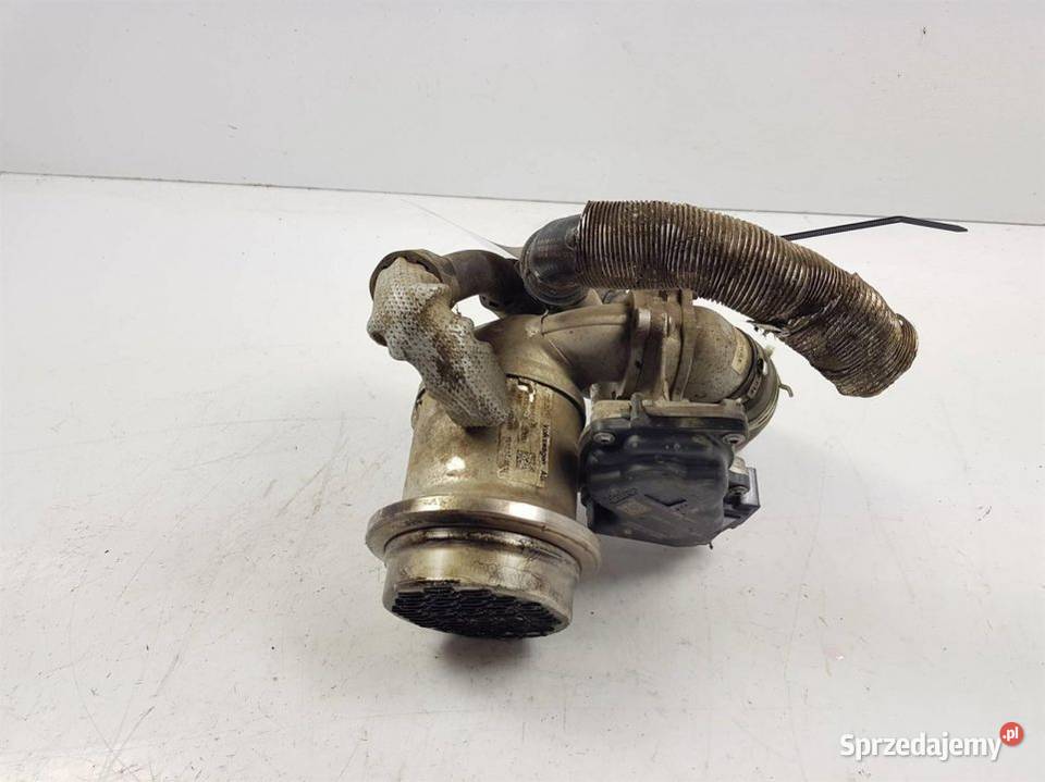 CHŁODNICZKA SPALIN 04B131501D SKODA FABIA III kujawsko-pomorskie Lipno