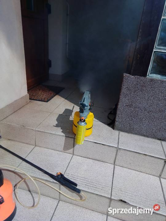 Usuwanie likwidacja szerszeni os i pszczół Ełk