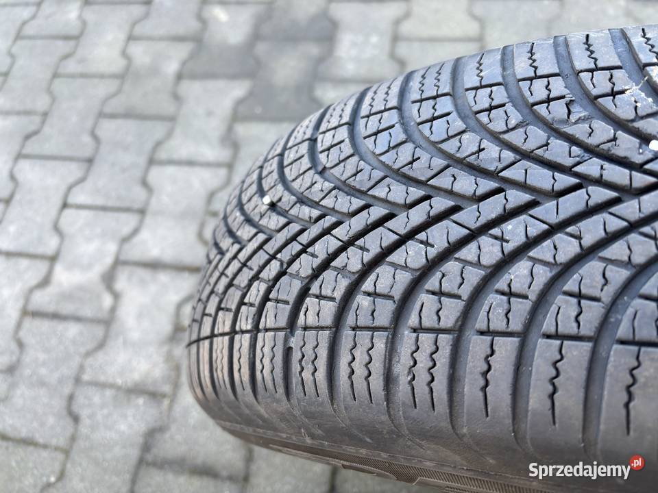 Dwie sztuki Dębica całoroczne 1856515 Zgierz