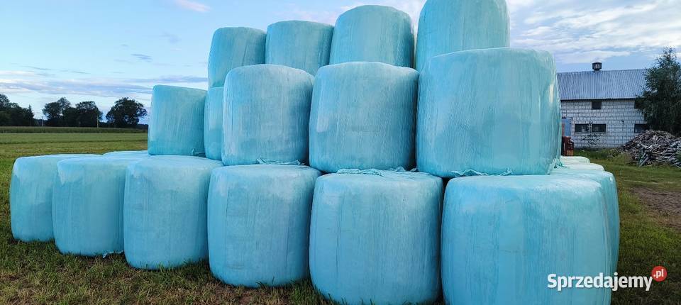 Sprzedam bele lucerna z trawą Barenbrug Trawy, słoma Wymysły