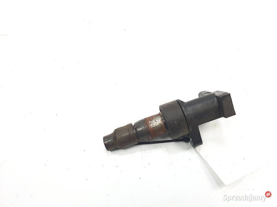 CEWKA ZAPŁONOWA JAGUAR XF 6R8312A366BA kujawsko-pomorskie Lipno