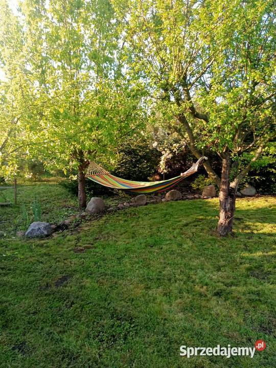 Ogródek działkowy działka rod wielkopolskie Miłosław