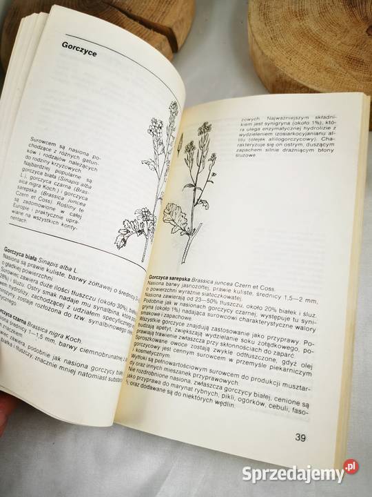 Ziołowe przyprawy kuchenne Wiśniowa