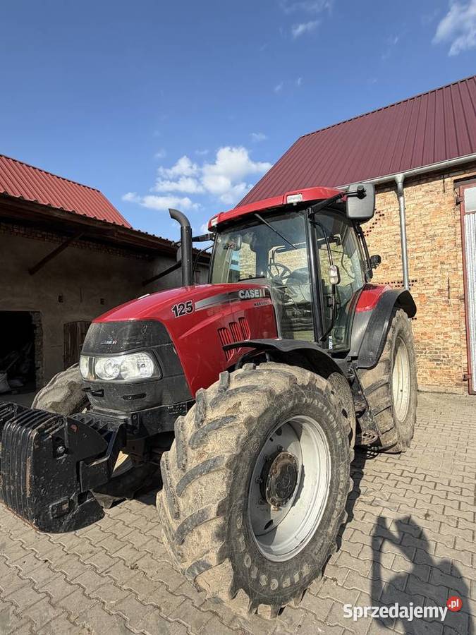 Sprzedam Case Maxxum 125 Case Wolsztyn sprzedam
