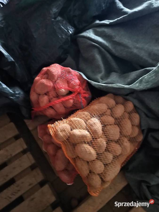 Ziemniaki zachodniopomorskie Barnim