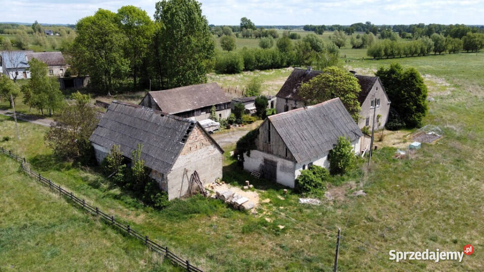 Duży przedwojenny dom jednorodzinny Pławin sprzedam