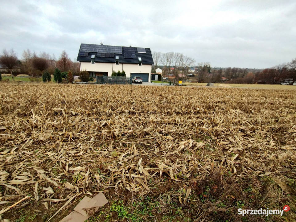 Sprzedam grunt 1700m2 PłouszowiceKolonia lubelskie Płouszowice-Kolonia sprzedam