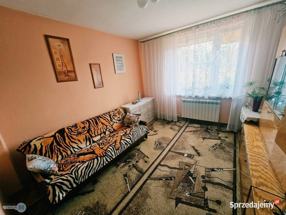 sprzedaży domu wolnostojącego 55 metrów Stąporków