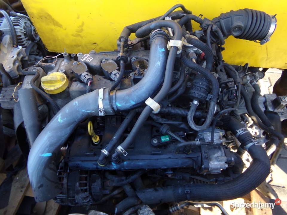 NISSAN PULSAR QASHQAI JUKE 12 DIGT 17r 116 HRA2 osobowe Suków