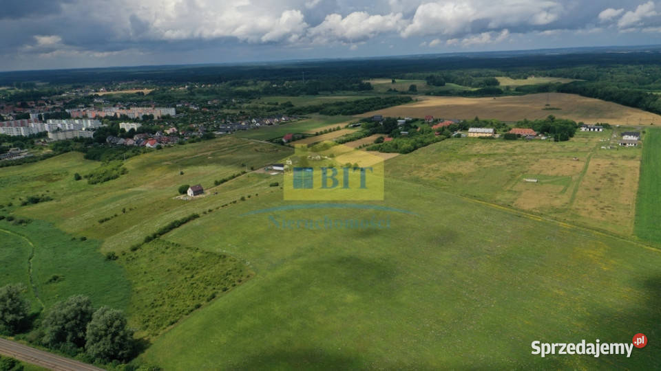 działka 195 ha na obrzeżach Złocieńca polna Złocieniec