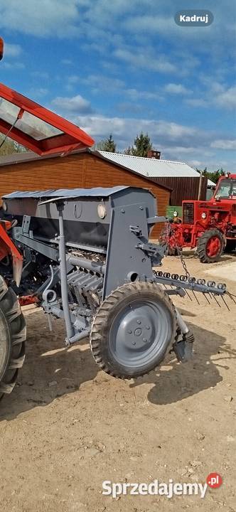 Siewnik poznaniak nieuszkodzony mazowieckie Zeńbok