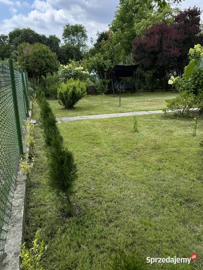 Działka rekreacyjna Gliwice Rod Budowlani 300m2