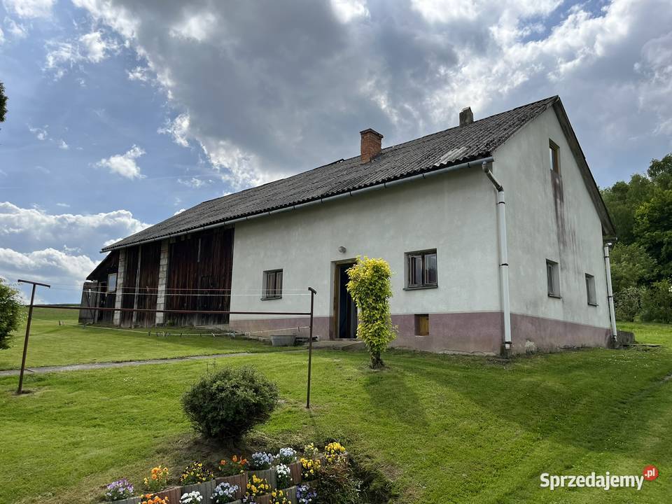 Urokliwe siedlisko na wsi z dużą działkąidealne 6250zł/m2 Sprzedaż