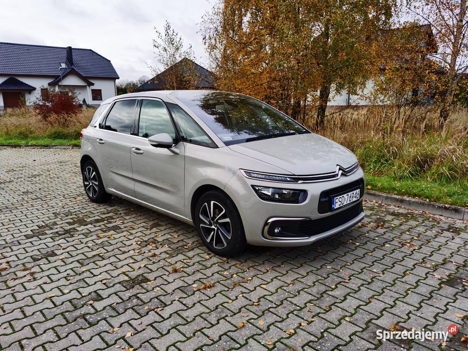 Citron C4 SpaceTourer 12 PureTech More Life SS szary C4 Picasso