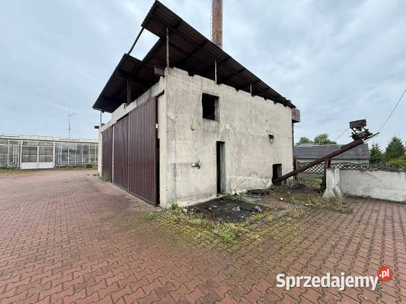 Sprzedam dom i szklarnie Godziesze Małe sprzedam