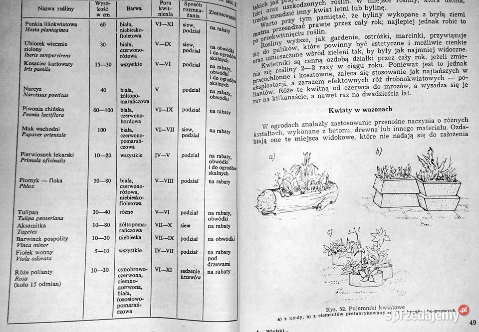 Wiejski ogród przydomowy Henryk Plessner lubelskie Chełm
