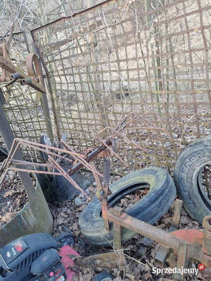 Sprzedam piernik do ziemniaków nieuszkodzony Pozostałe Iżyce