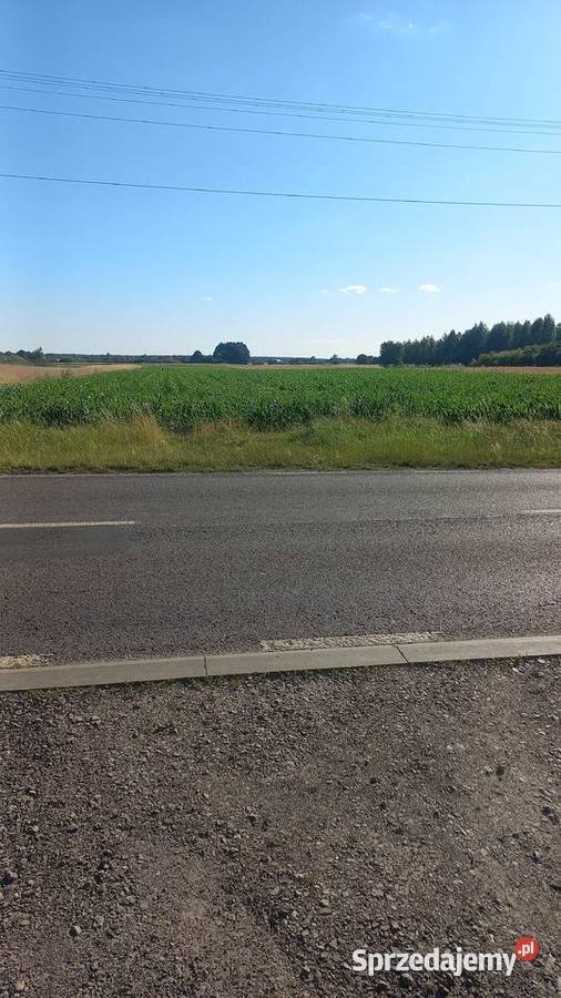 Sprzedam działkę rolnozagrodową Parczew Sprzedaż