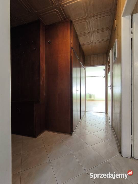 2 pokoje na Niebuszewie 464m2 wysoki parter parter Szczecin