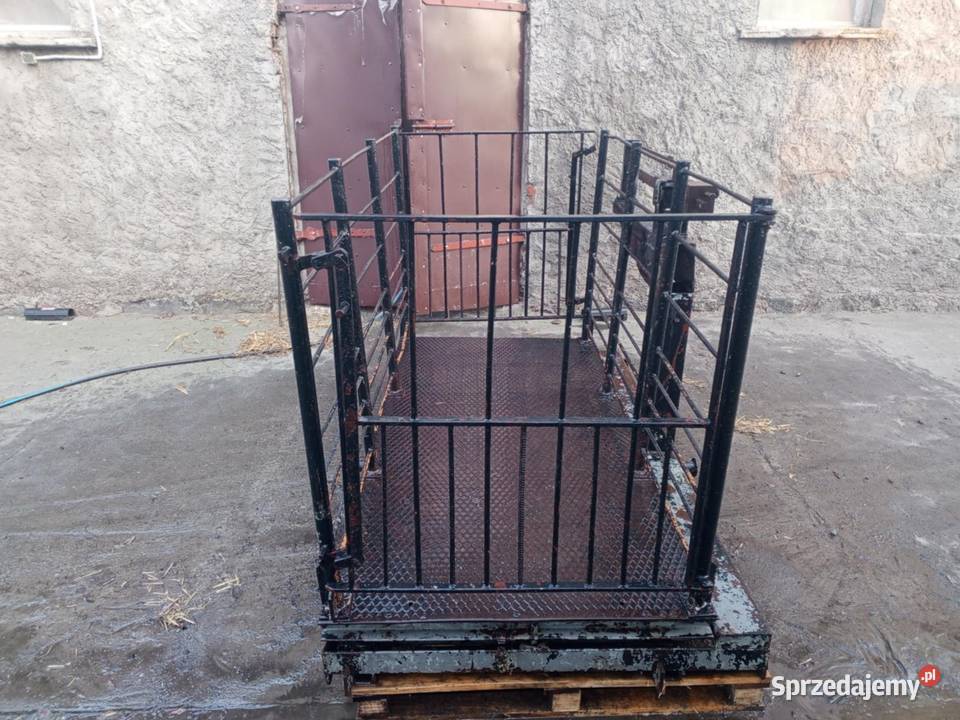 Waga żywca 1500 Meprozet Pozostałe kujawsko-pomorskie Drzonówko