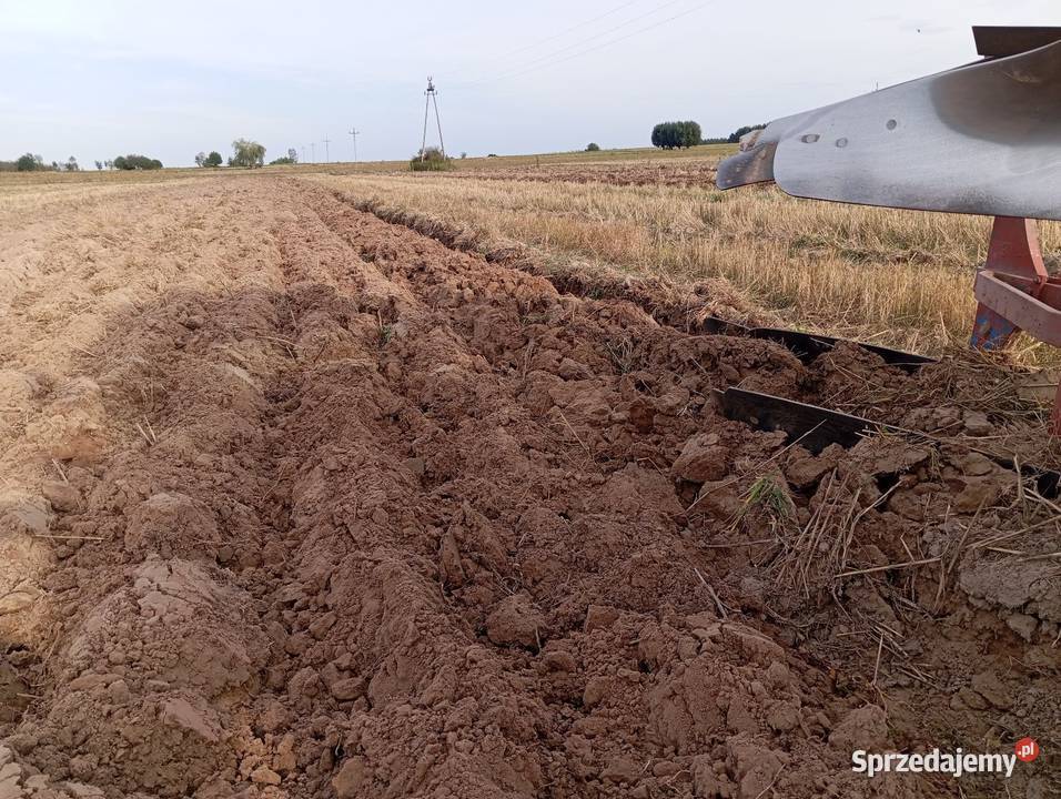 Pług obrotowy 2 skibowy Łyczba sprzedam