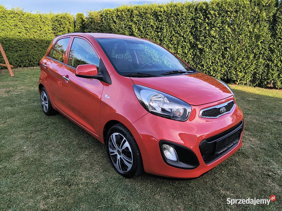 Kia Picanto Benzyna 10 Mega kolor zadbany światła do jazdy dziennej Picanto Iwonicz