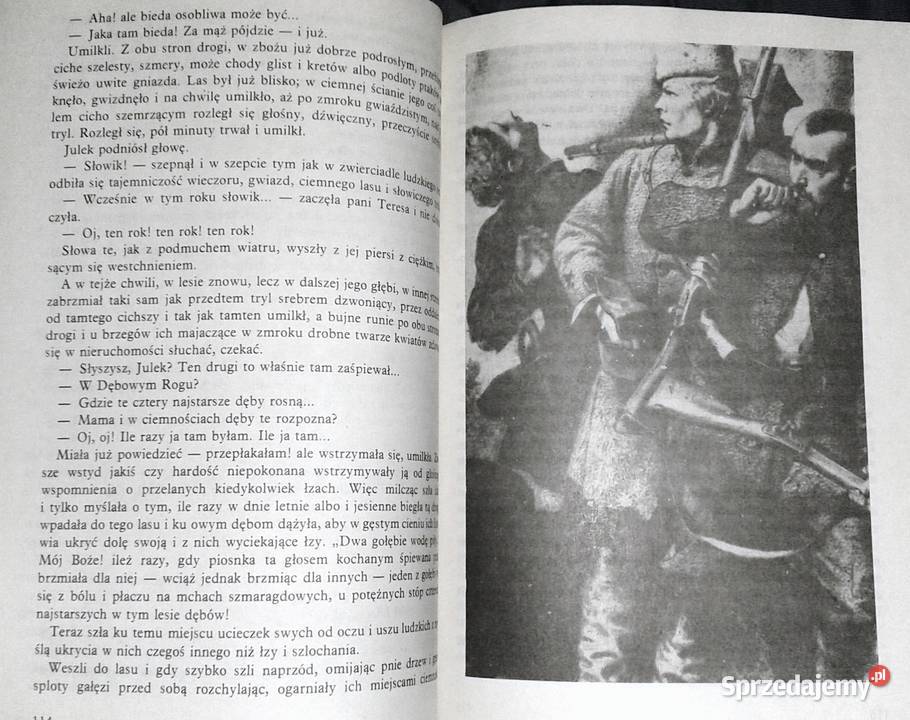 Gloria victis Eliza Orzeszkowa lubelskie Chełm