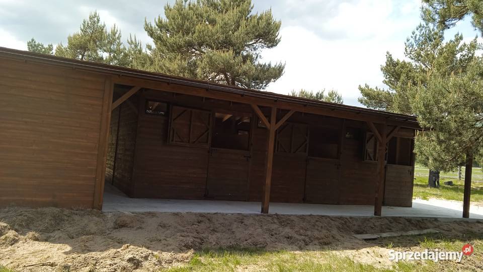 Stajnia konia drewniana Boksy koni Łódź