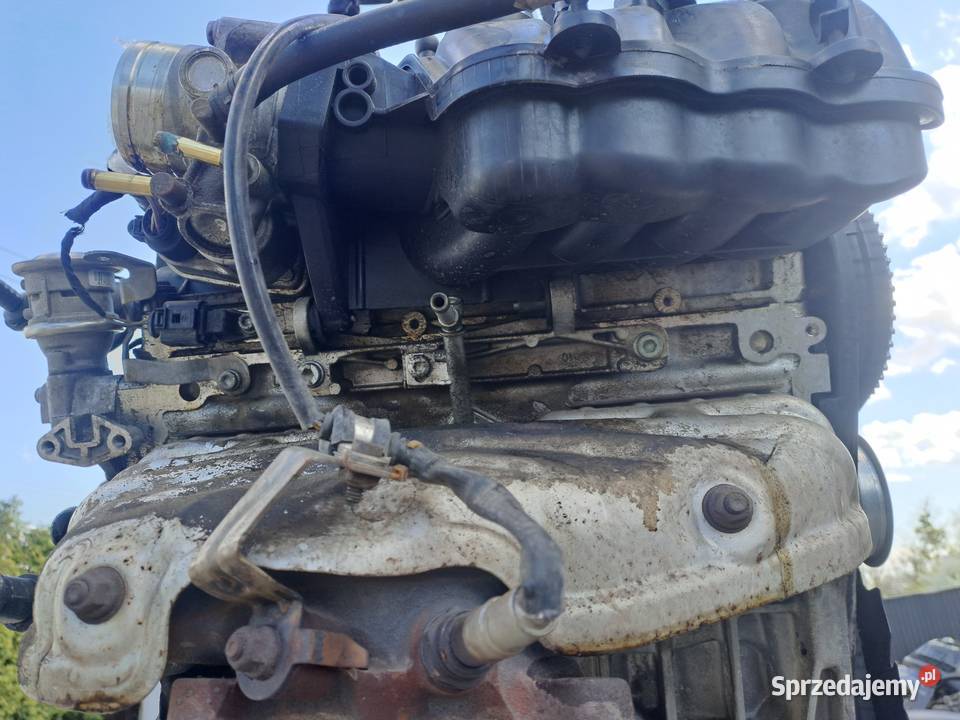 Audi Seat Skoda Volkswagen 16 8V 102 silnik kod Silniki kompletne Jastrzębie-Zdrój sprzedam