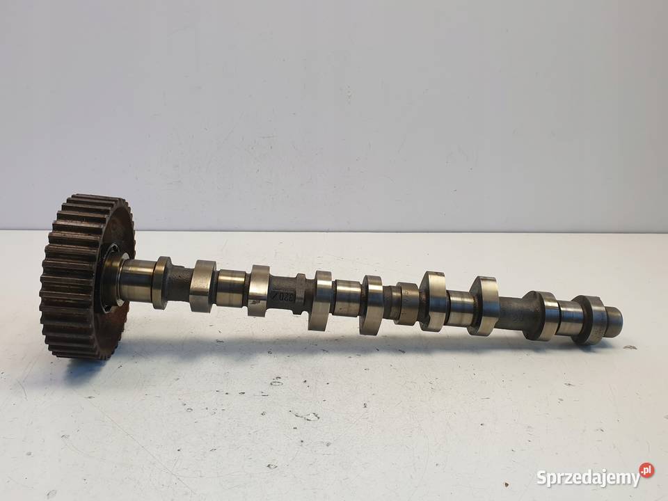 WAŁEK ROZRZĄDU Peugeot 206 16 16V SSĄCY NFU lubelskie