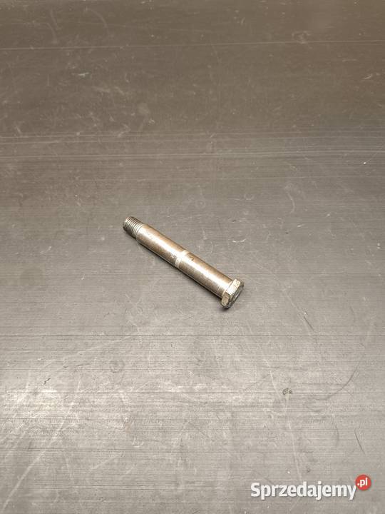 Śruba oś ośka kiwaka kołyski części Yamaha DT Gołaczewy sprzedam