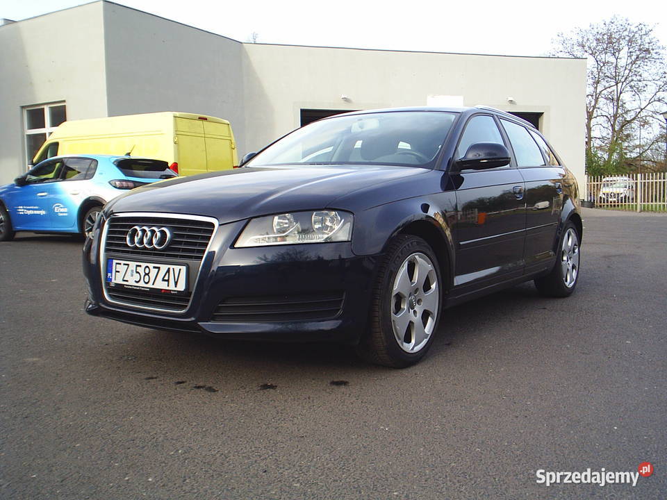 Audi A3 125 Niski przebieg 135340 BEZWYPADKOWY Zielona Góra