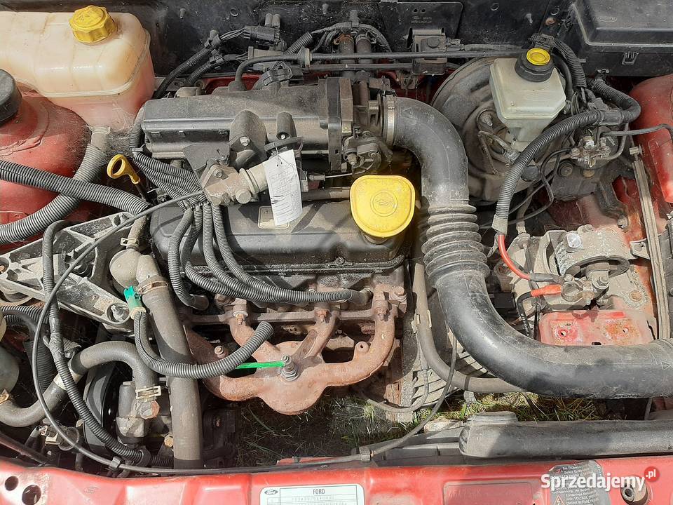 Ford Fiesta MK5 lift na części bądz w całości 1299cm3 Świerzawa